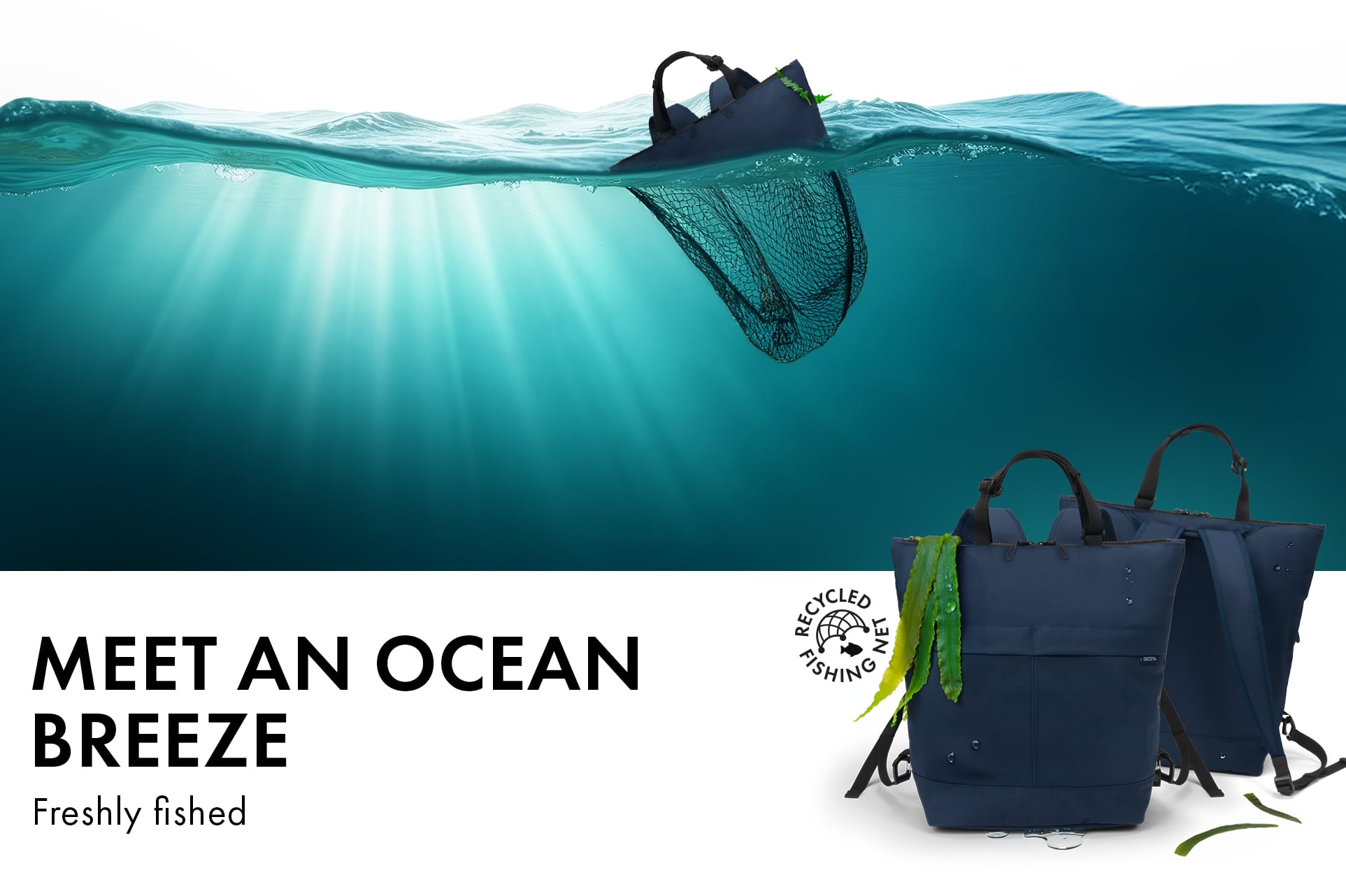 Meet an Ocean Breeze - Freshly fished backpack